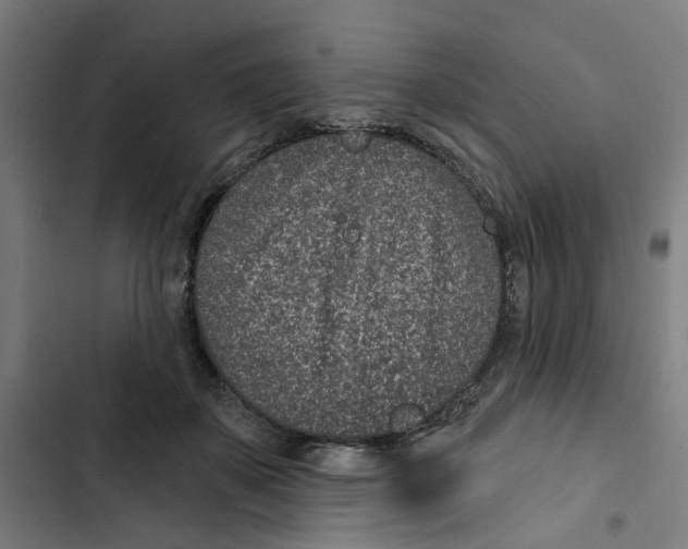 X0000102360507200808291228