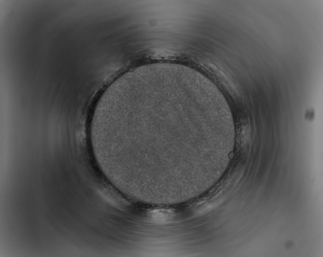 X0000102360508200808291228