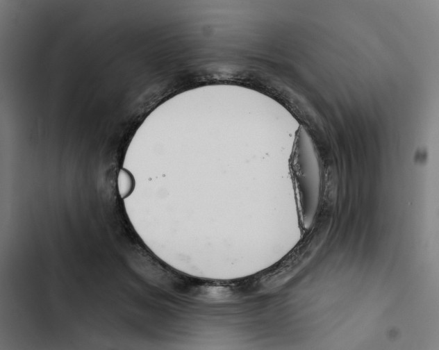 X0000102360509200808291228