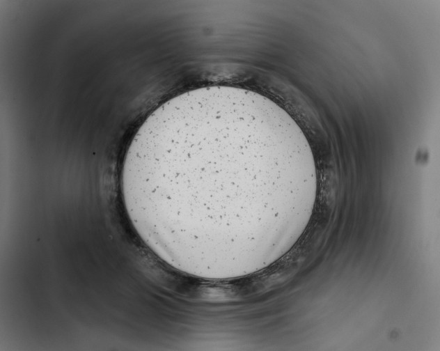 X0000102360510200808291228