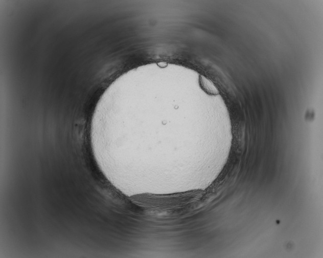 X0000102360511200808291228