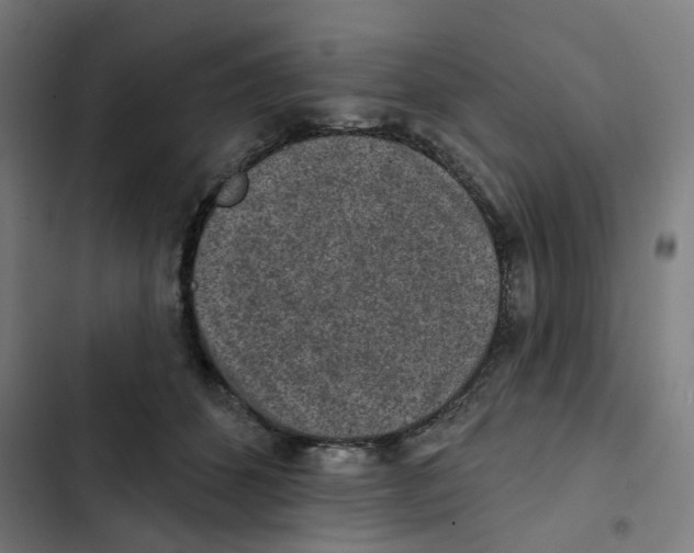 X0000102360512200808291228