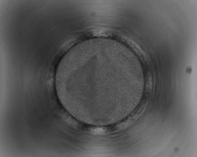X0000102360513200808291228