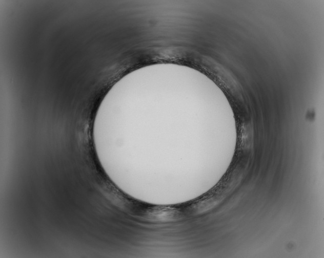 X0000102360514200808291228