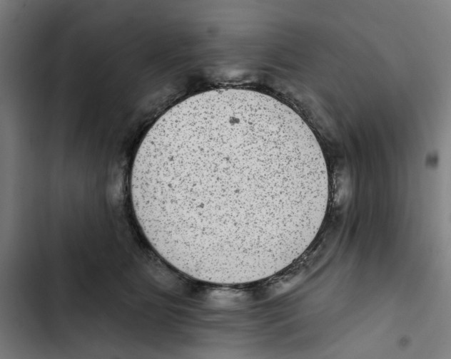 X0000102360515200808291228