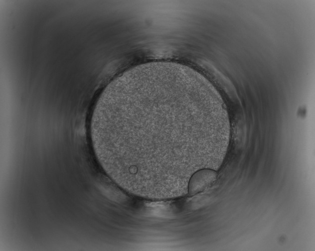 X0000102360516200808291228