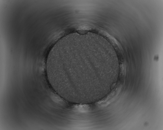 X0000102360517200808291228
