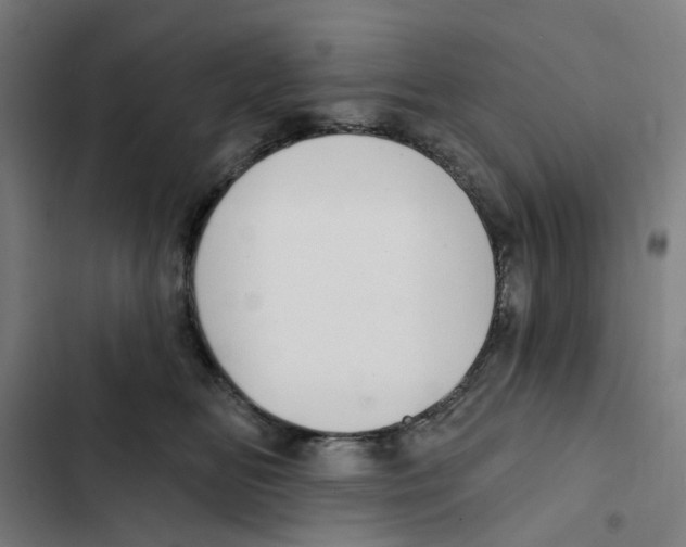 X0000102360518200808291228