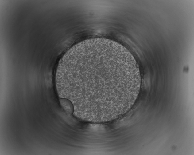 X0000102360520200808291228