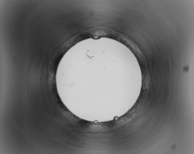 X0000102360521200808291228