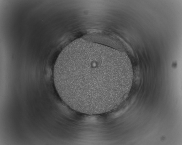 X0000102360523200808291228