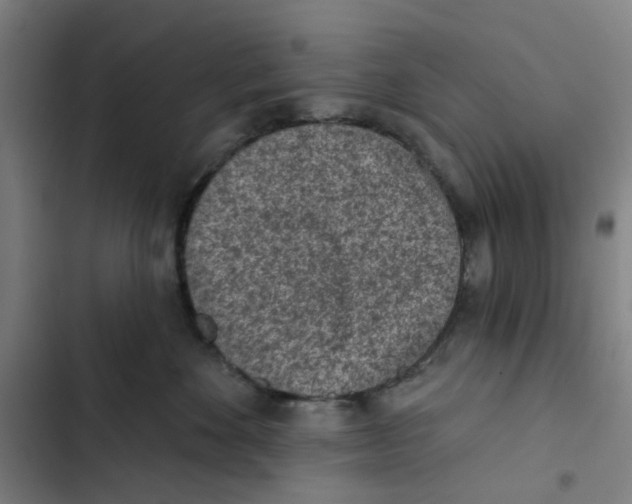 X0000102360524200808291228
