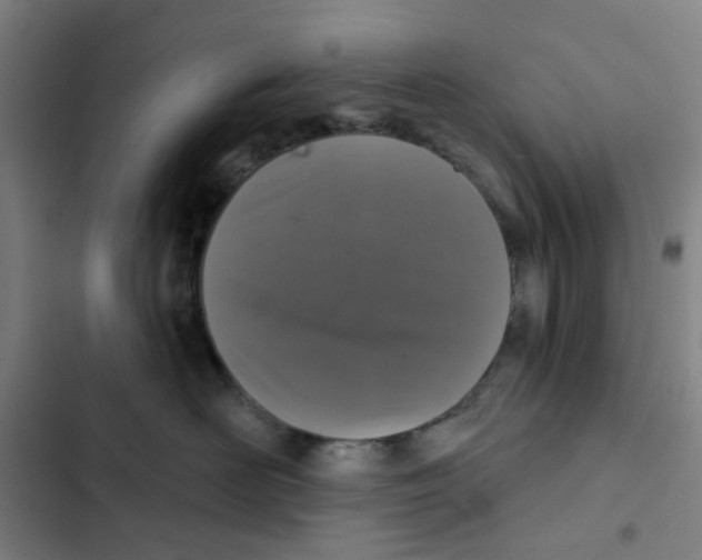X0000102360526200808291228
