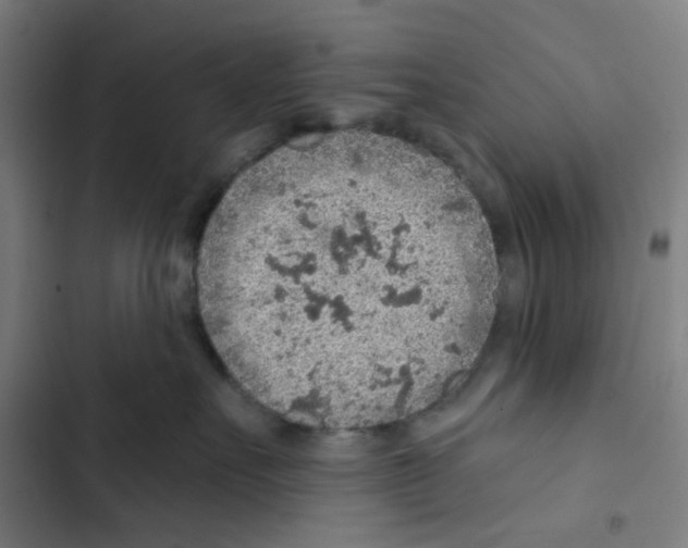 X0000102360527200808291228