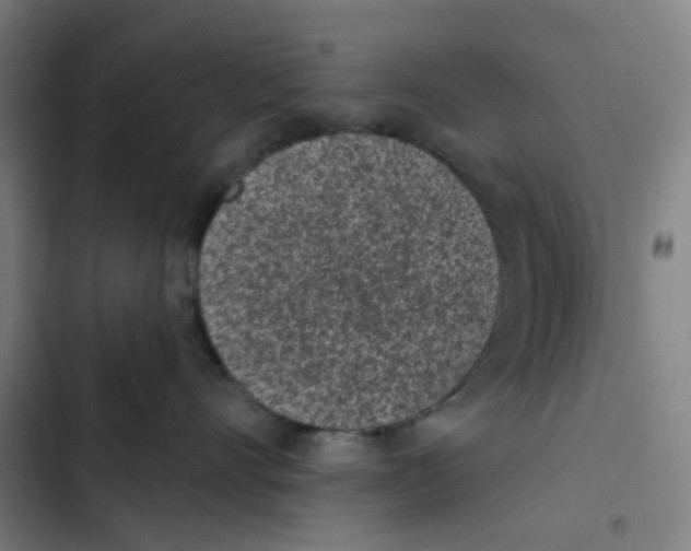X0000102360528200808291228
