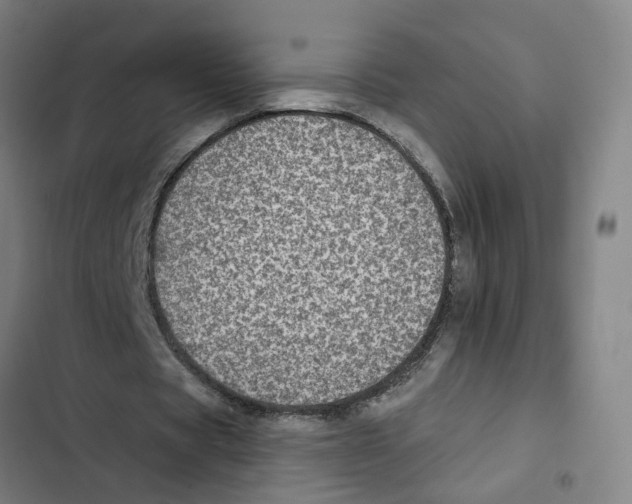 X0000102360529200808291227