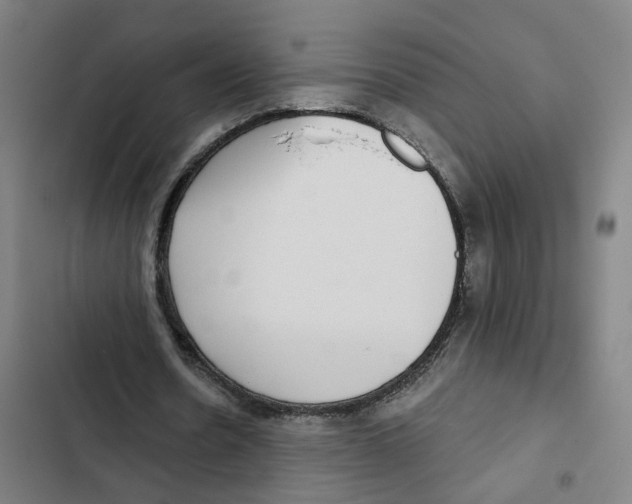 X0000102360530200808291227