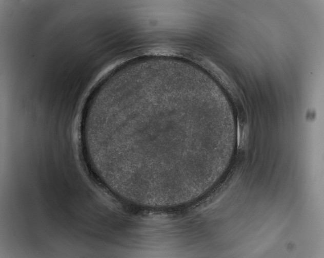 X0000102360531200808291227