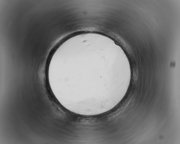 X0000102360532200808291227