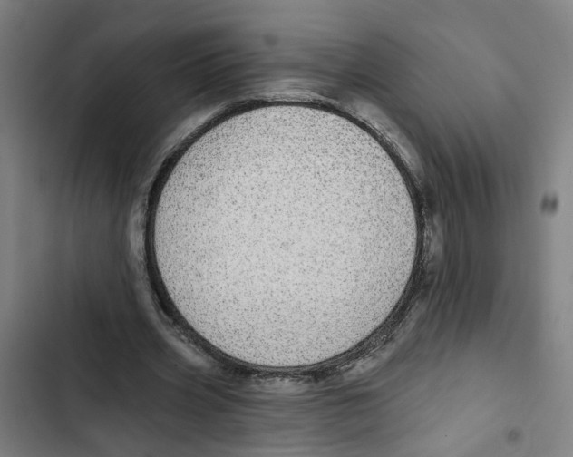 X0000102360533200808291227