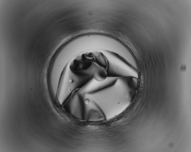 X0000102360534200808291227