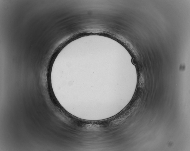 X0000102360535200808291227