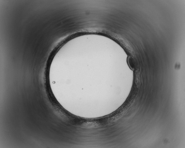 X0000102360536200808291227