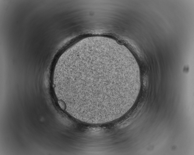 X0000102360540200808291228