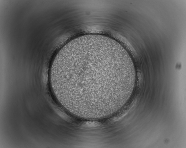 X0000102360541200808291228