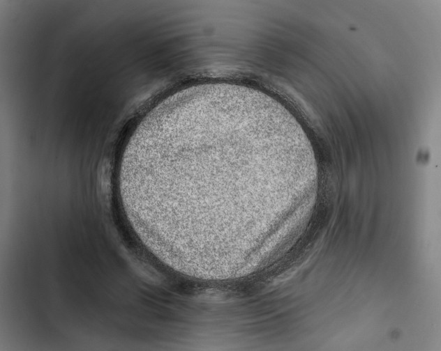 X0000102360542200808291228