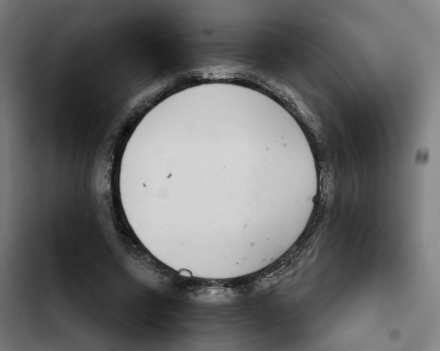 X0000102360543200808291228