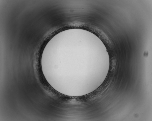 X0000102360544200808291228