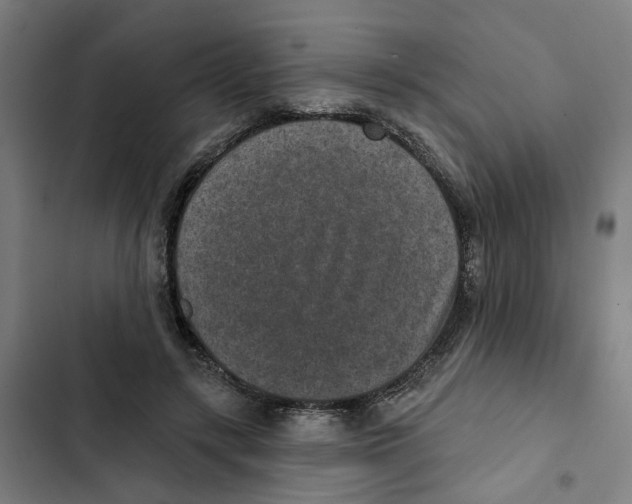 X0000102360547200808291228