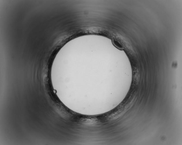 X0000102360548200808291228