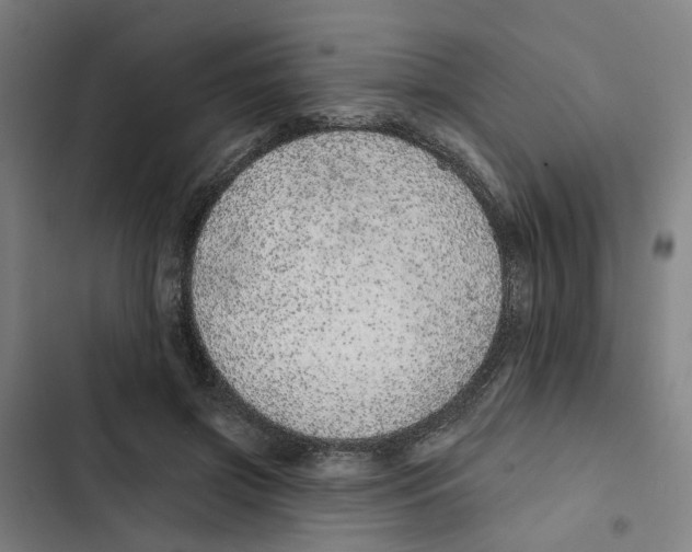 X0000102360549200808291228
