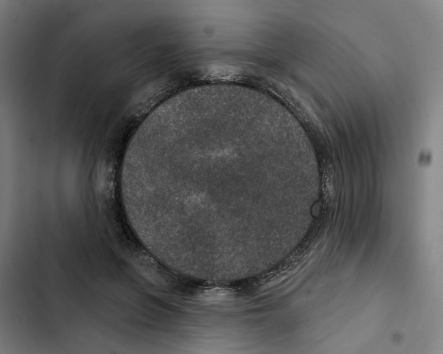 X0000102360551200808291228
