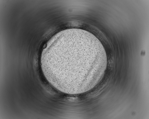 X0000102360552200808291228