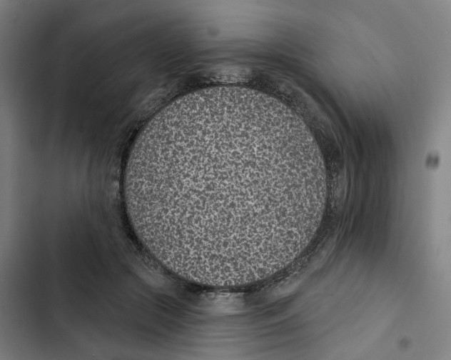 X0000102360553200808291228