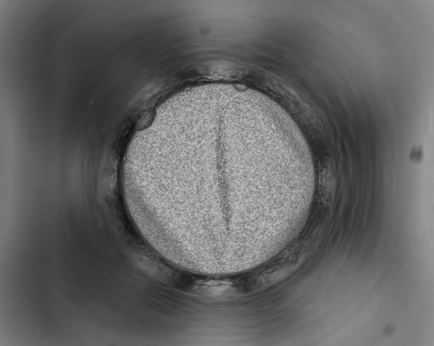X0000102360554200808291228