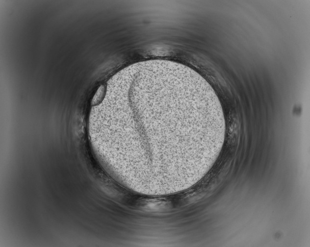 X0000102360555200808291228