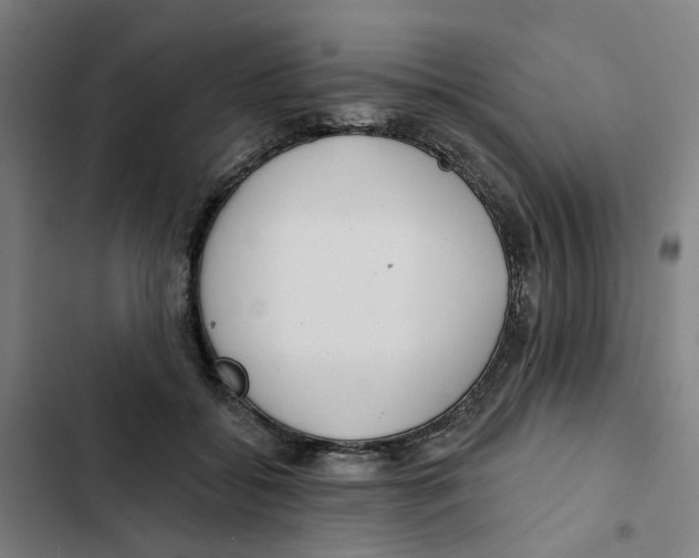 X0000102360556200808291228
