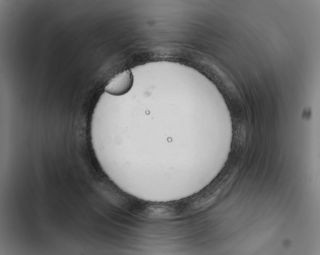 X0000102360557200808291228