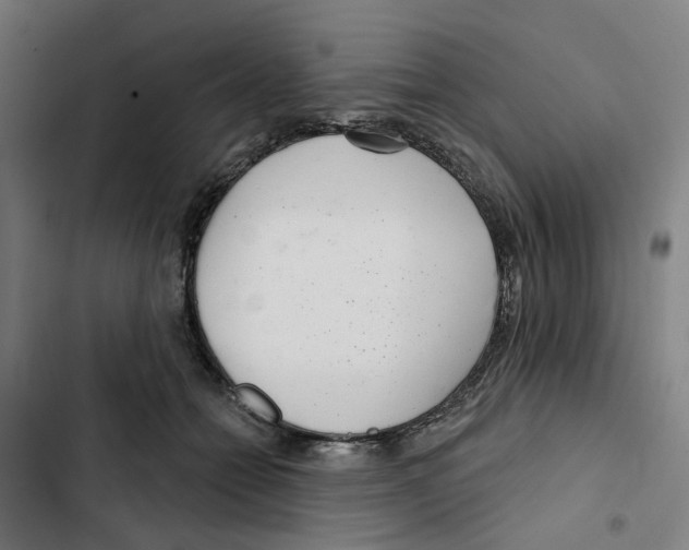 X0000102360558200808291228