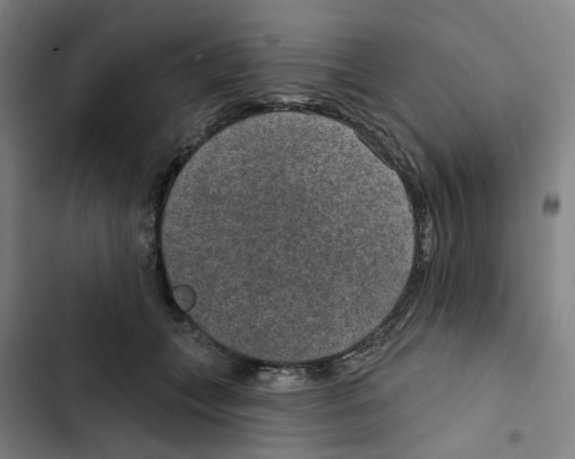 X0000102360559200808291228