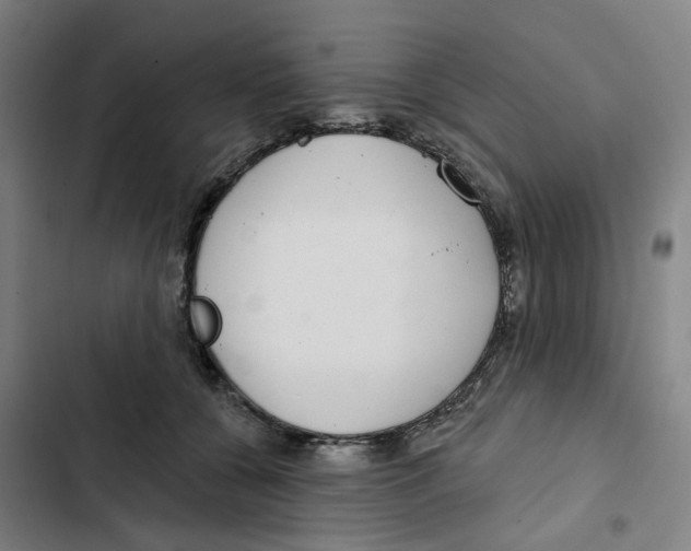 X0000102360560200808291228