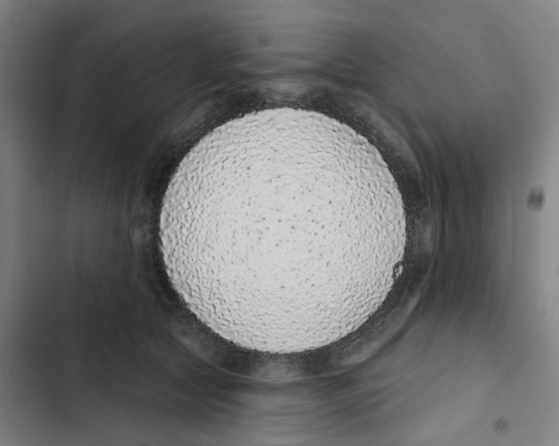 X0000102360561200808291228