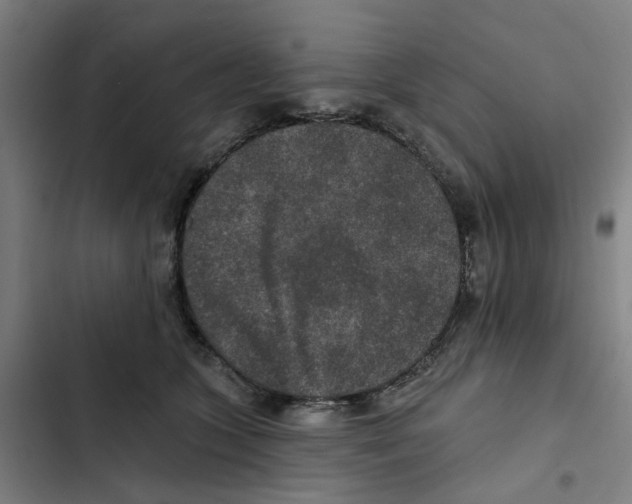 X0000102360563200808291228