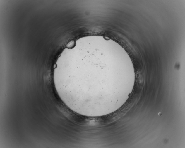 X0000102360564200808291228