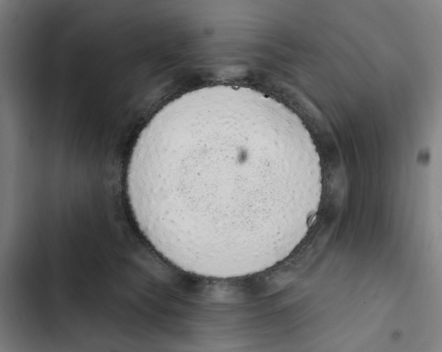 X0000102360565200808291228