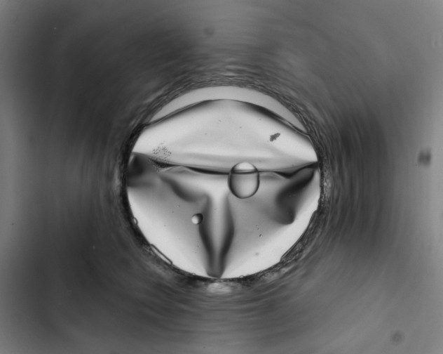 X0000102360566200808291228